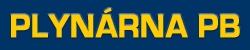 Primary Raster logo